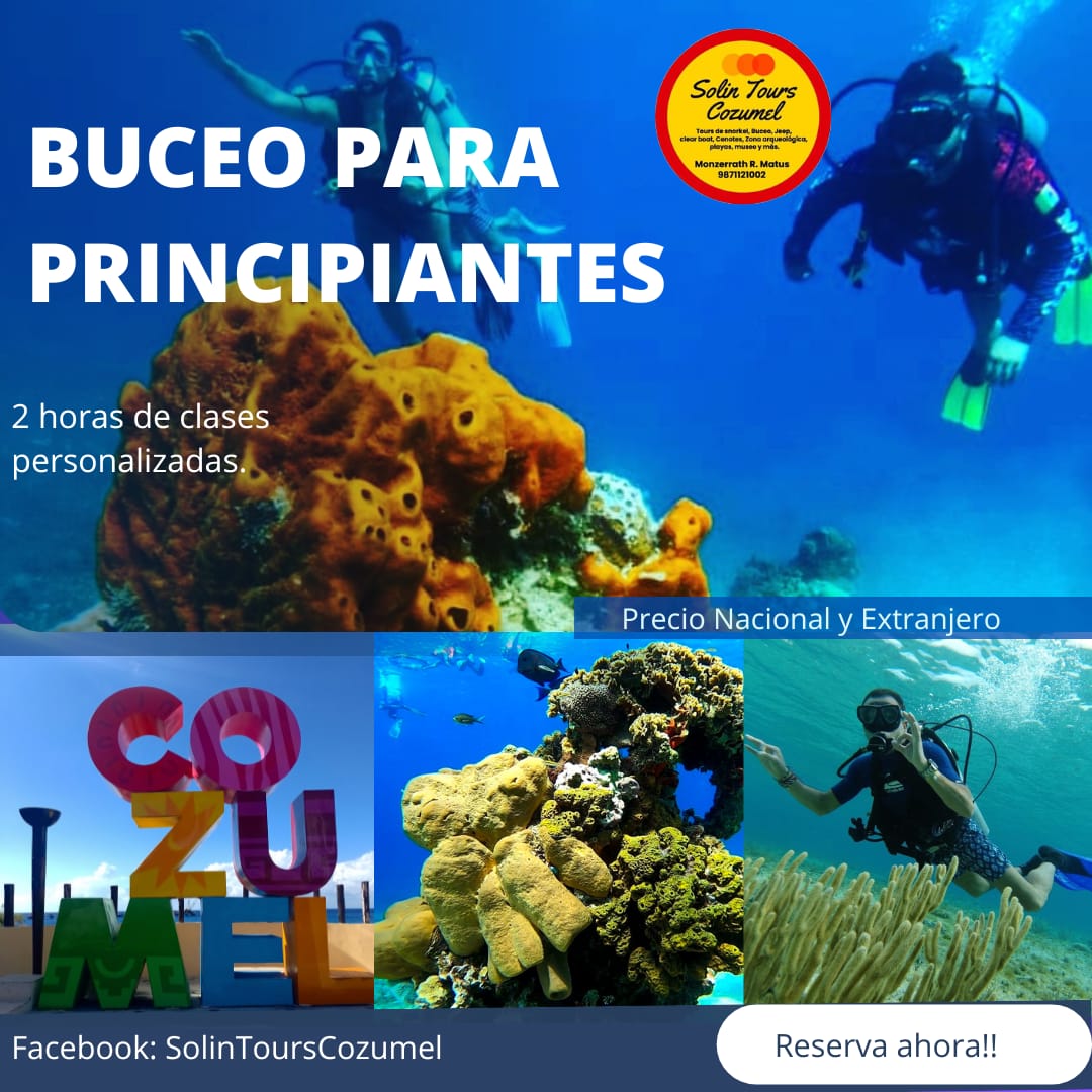 Buceo para principiantes en Cozumel – Solin Tours Cozumel